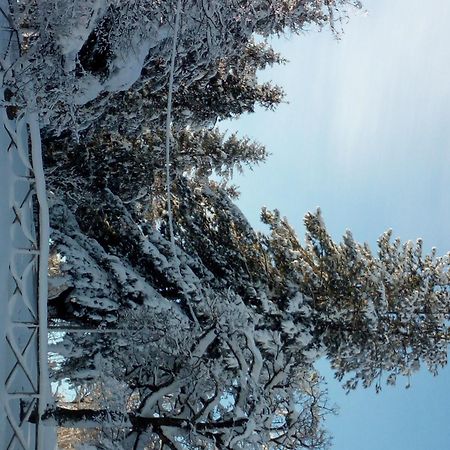 Il Castagno Bed & Breakfast Монтемонако Екстериор снимка