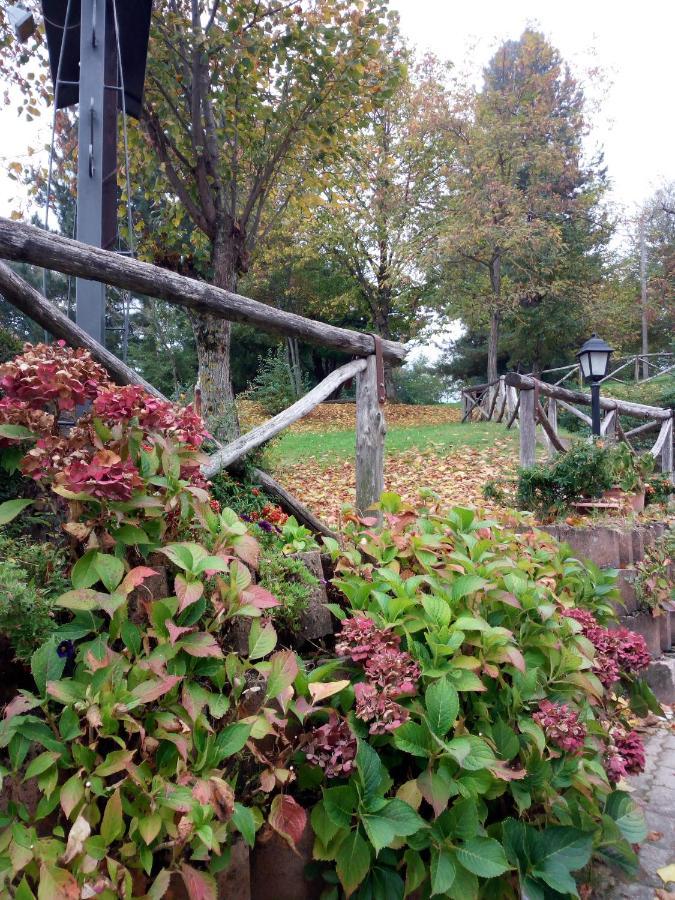 Il Castagno Bed & Breakfast Монтемонако Екстериор снимка