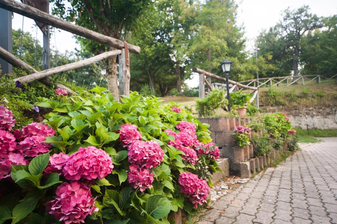 Il Castagno Bed & Breakfast Монтемонако Екстериор снимка